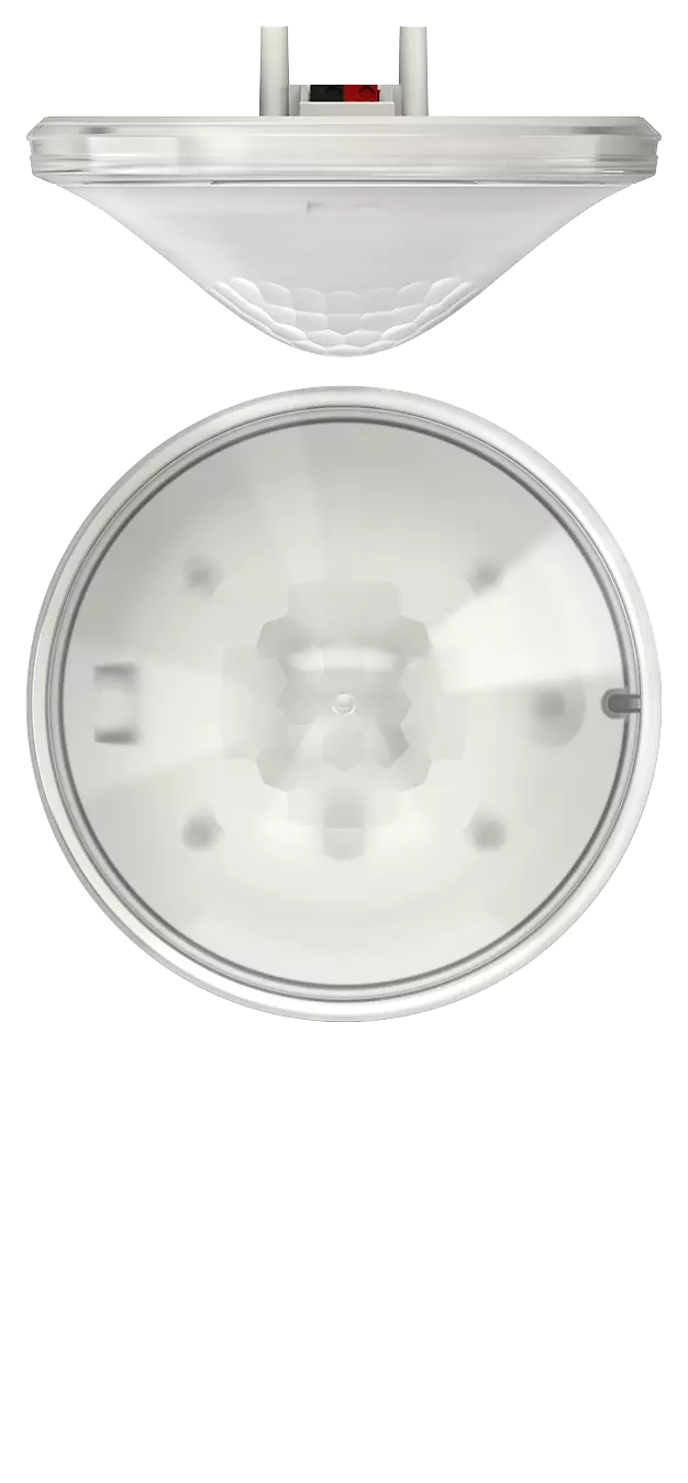 THEB-00004-V01.01